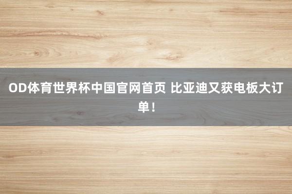 OD体育世界杯中国官网首页 比亚迪又获电板大订单！