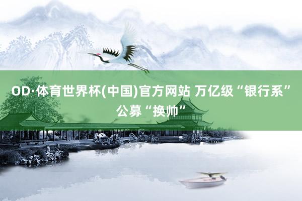 OD·体育世界杯(中国)官方网站 万亿级“银行系”公募“换帅”
