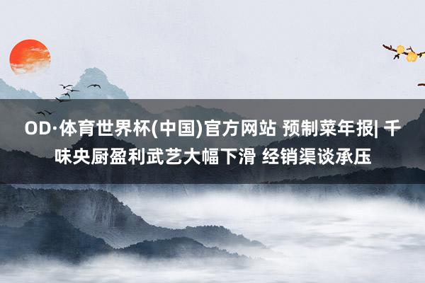 OD·体育世界杯(中国)官方网站 预制菜年报| 千味央厨盈利武艺大幅下滑 经销渠谈承压