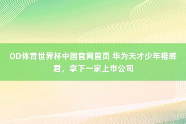 OD体育世界杯中国官网首页 华为天才少年稚晖君，拿下一家上市公司