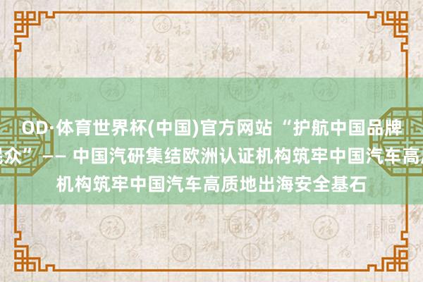 OD·体育世界杯(中国)官方网站 “护航中国品牌，全域安全立标民众” —— 中国汽研集结欧洲认证机构筑牢中国汽车高质地出海安全基石