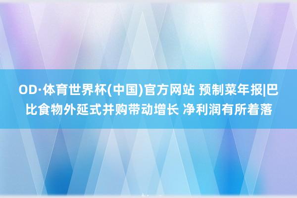 OD·体育世界杯(中国)官方网站 预制菜年报|巴比食物外延式并购带动增长 净利润有所着落