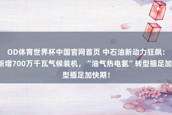 OD体育世界杯中国官网首页 中石油新动力狂飙：一年新增700万千瓦气候装机，“油气热电氢”转型插足加快期！
