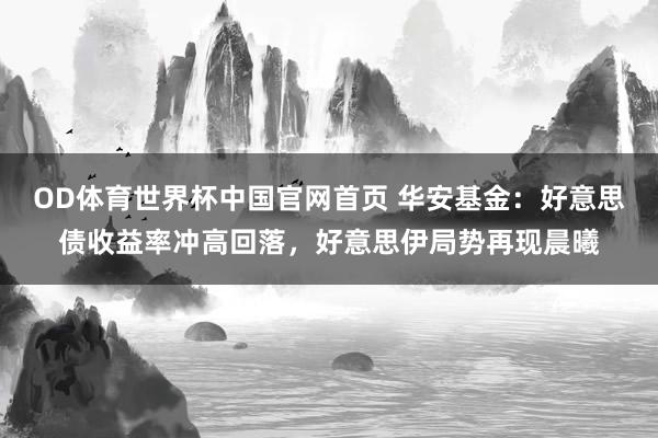 OD体育世界杯中国官网首页 华安基金：好意思债收益率冲高回落，好意思伊局势再现晨曦