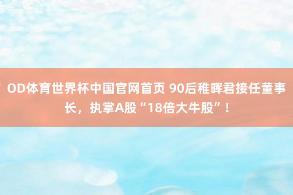OD体育世界杯中国官网首页 90后稚晖君接任董事长，执掌A股“18倍大牛股”！