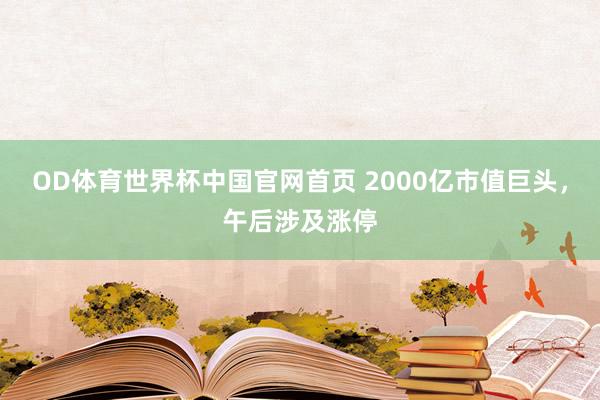 OD体育世界杯中国官网首页 2000亿市值巨头，午后涉及涨停