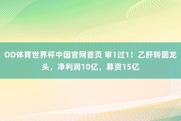 OD体育世界杯中国官网首页 审1过1！乙肝转圜龙头，净利润10亿，募资15亿