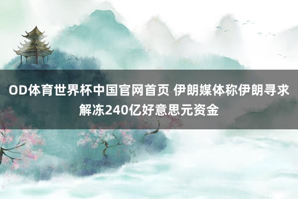 OD体育世界杯中国官网首页 伊朗媒体称伊朗寻求解冻240亿好意思元资金