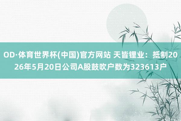 OD·体育世界杯(中国)官方网站 天皆锂业：抵制2026年5月20日公司A股鼓吹户数为323613户