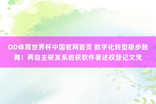OD体育世界杯中国官网首页 数字化转型稳步鼓舞！两自主研发系统获软件著述权登记文凭