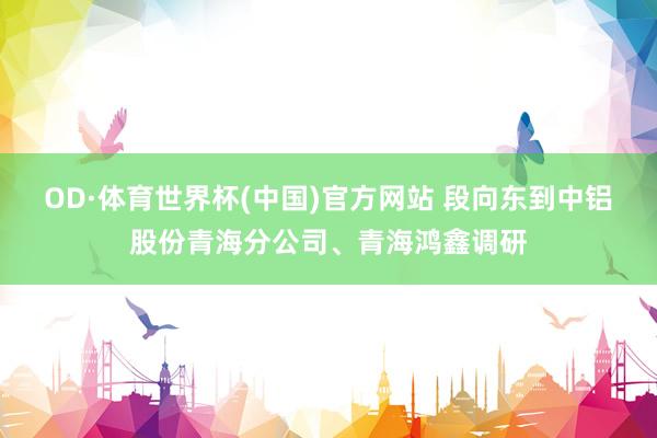 OD·体育世界杯(中国)官方网站 段向东到中铝股份青海分公司、青海鸿鑫调研