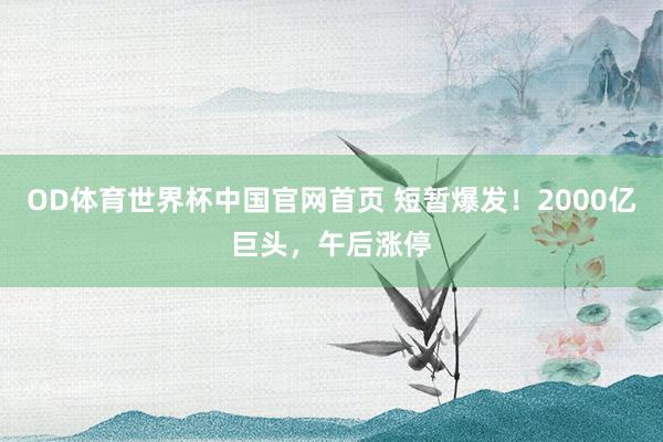 OD体育世界杯中国官网首页 短暂爆发！2000亿巨头，午后涨停