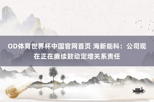 OD体育世界杯中国官网首页 海新能科：公司现在正在赓续鼓动定增关系责任
