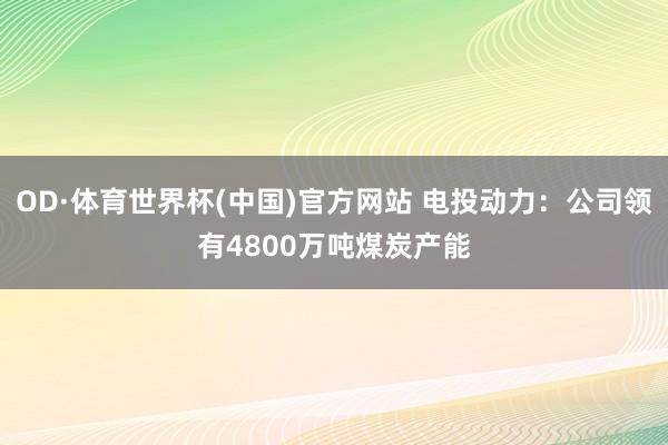 OD·体育世界杯(中国)官方网站 电投动力：公司领有4800万吨煤炭产能