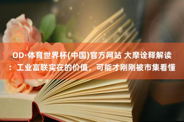 OD·体育世界杯(中国)官方网站 大摩诠释解读：工业富联实在的价值，可能才刚刚被市集看懂