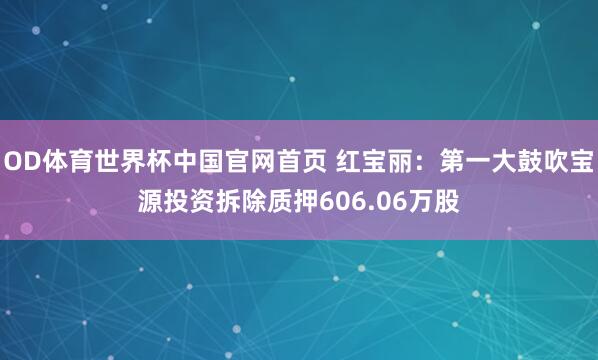 OD体育世界杯中国官网首页 红宝丽：第一大鼓吹宝源投资拆除质押606.06万股