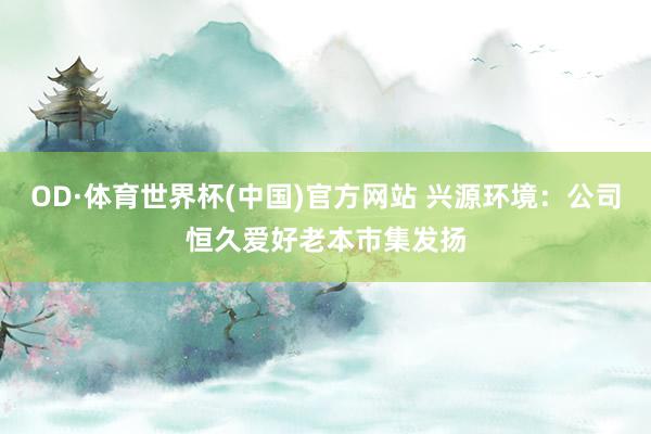 OD·体育世界杯(中国)官方网站 兴源环境：公司恒久爱好老本市集发扬