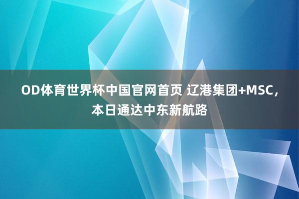 OD体育世界杯中国官网首页 辽港集团+MSC，本日通达中东新航路
