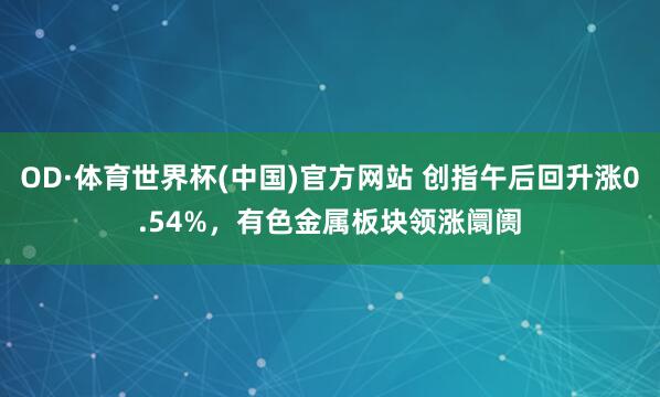 OD·体育世界杯(中国)官方网站 创指午后回升涨0.54%，有色金属板块领涨阛阓