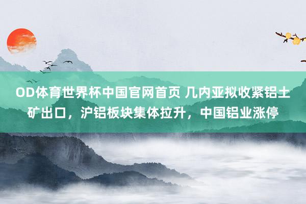 OD体育世界杯中国官网首页 几内亚拟收紧铝土矿出口，沪铝板块集体拉升，中国铝业涨停