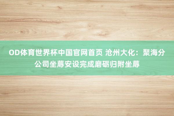 OD体育世界杯中国官网首页 沧州大化：聚海分公司坐蓐安设完成磨砺归附坐蓐