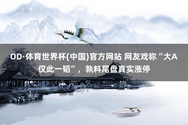 OD·体育世界杯(中国)官方网站 网友戏称“大A仅此一韬”，孰料尾盘真实涨停