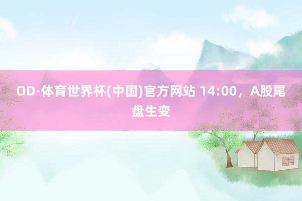 OD·体育世界杯(中国)官方网站 14:00，A股尾盘生变