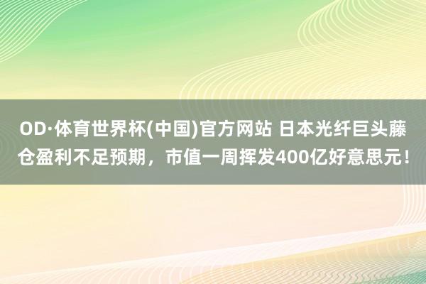 OD·体育世界杯(中国)官方网站 日本光纤巨头藤仓盈利不足预期，市值一周挥发400亿好意思元！