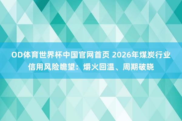 OD体育世界杯中国官网首页 2026年煤炭行业信用风险瞻望：爝火回温、周期破晓