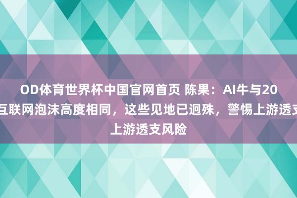OD体育世界杯中国官网首页 陈果：AI牛与2000年互联网泡沫高度相同，这些见地已迥殊，警惕上游透支风险