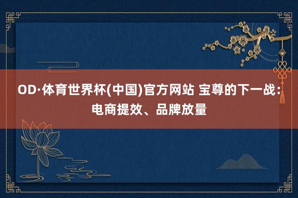 OD·体育世界杯(中国)官方网站 宝尊的下一战：电商提效、品牌放量