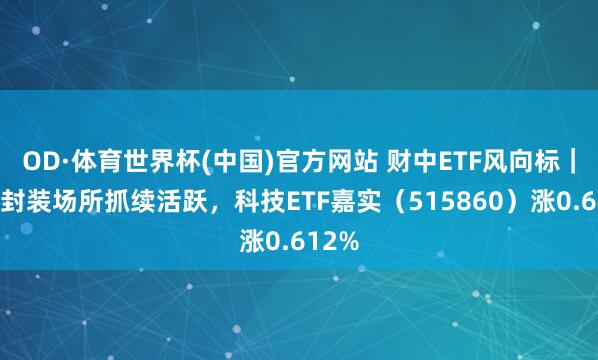OD·体育世界杯(中国)官方网站 财中ETF风向标｜先进封装场所抓续活跃，科技ETF嘉实（515860）涨0.612%
