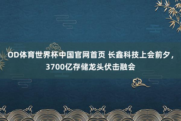 OD体育世界杯中国官网首页 长鑫科技上会前夕，3700亿存储龙头伏击融会