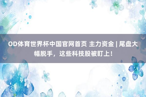OD体育世界杯中国官网首页 主力资金 | 尾盘大幅脱手，这些科技股被盯上！