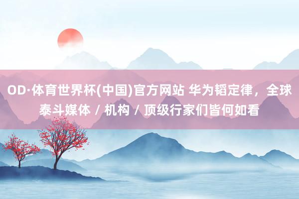 OD·体育世界杯(中国)官方网站 华为韬定律，全球泰斗媒体 / 机构 / 顶级行家们皆何如看