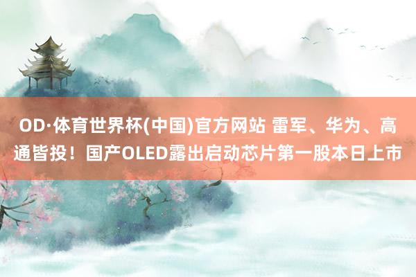 OD·体育世界杯(中国)官方网站 雷军、华为、高通皆投！国产OLED露出启动芯片第一股本日上市