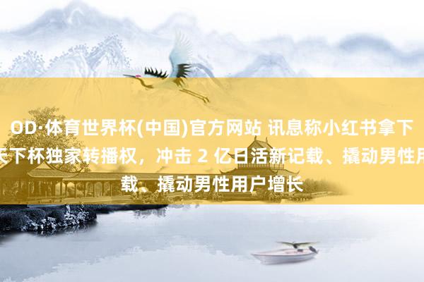 OD·体育世界杯(中国)官方网站 讯息称小红书拿下 2026 天下杯独家转播权，冲击 2 亿日活新记载、撬动男性用户增长