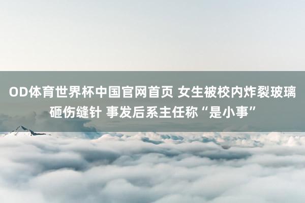 OD体育世界杯中国官网首页 女生被校内炸裂玻璃砸伤缝针 事发后系主任称“是小事”