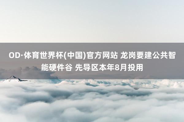 OD·体育世界杯(中国)官方网站 龙岗要建公共智能硬件谷 先导区本年8月投用
