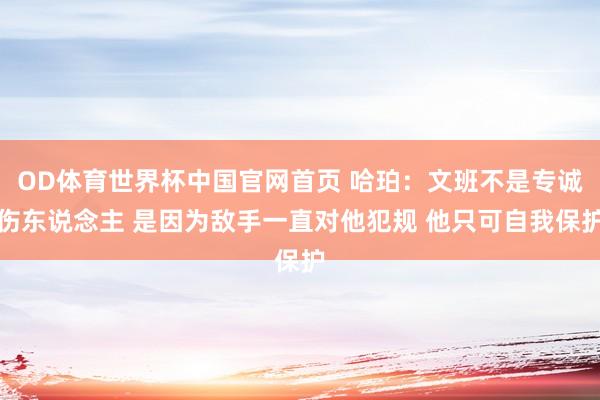 OD体育世界杯中国官网首页 哈珀：文班不是专诚伤东说念主 是因为敌手一直对他犯规 他只可自我保护