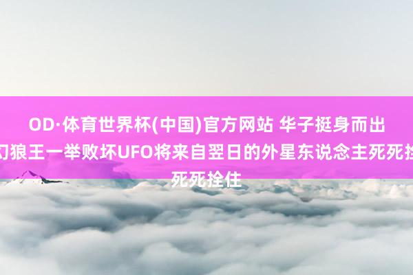 OD·体育世界杯(中国)官方网站 华子挺身而出变幻狼王一举败坏UFO将来自翌日的外星东说念主死死拴住