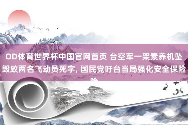 OD体育世界杯中国官网首页 台空军一架素养机坠毁致两名飞动员死字, 国民党吁台当局强化安全保险