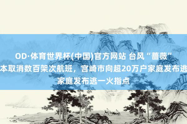 OD·体育世界杯(中国)官方网站 台风“蔷薇”来袭，日本取消数百架次航班，宫崎市向超20万户家庭发布逃一火指点