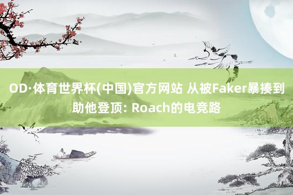 OD·体育世界杯(中国)官方网站 从被Faker暴揍到助他登顶: Roach的电竞路