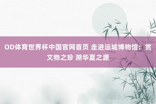 OD体育世界杯中国官网首页 走进运城博物馆：赏文物之珍 溯华