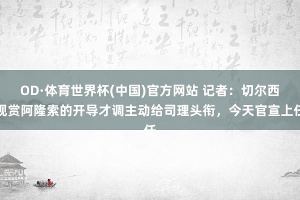 OD·体育世界杯(中国)官方网站 记者：切尔西观赏阿隆索的开导才调主动给司理头衔，今天官宣上任