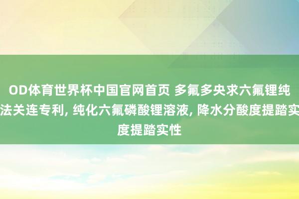 OD体育世界杯中国官网首页 多氟多央求六氟锂纯化法关连专利， 纯化六氟磷酸锂溶液， 降水分酸度提踏实性