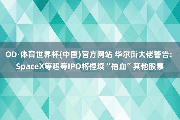 OD·体育世界杯(中国)官方网站 华尔街大佬警告: SpaceX等超等IPO将捏续“抽血”其他股票