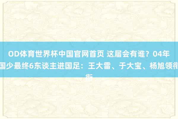 OD体育世界杯中国官网首页 这届会有谁？04年国少最终6东谈主进国足：王大雷、于大宝、杨旭领衔