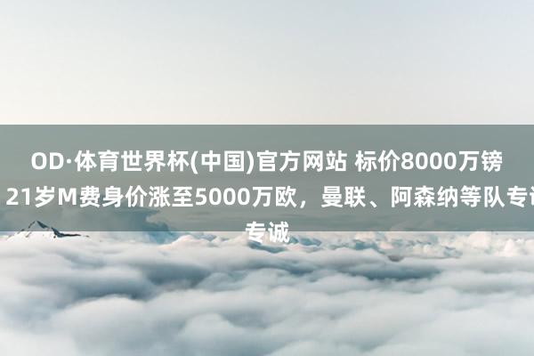 OD·体育世界杯(中国)官方网站 标价8000万镑！21岁M费身价涨至5000万欧，曼联、阿森纳等队专诚